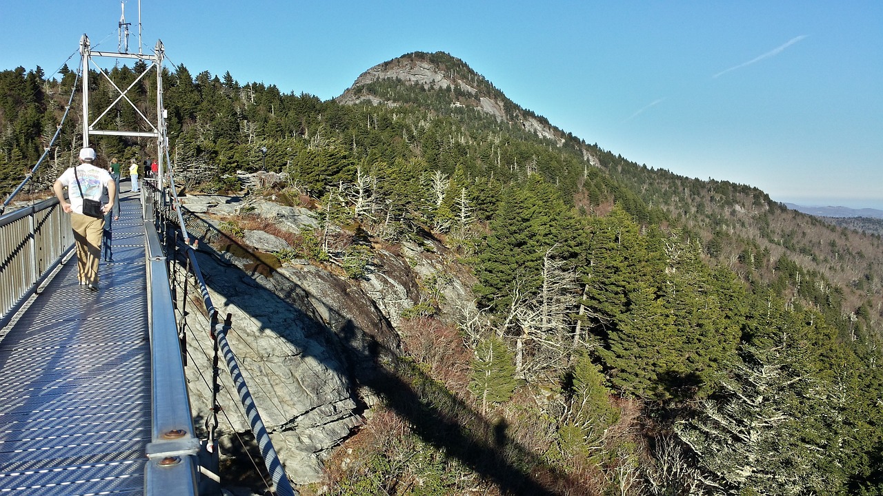 Grandfather Mountain bridge